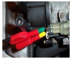 distributor